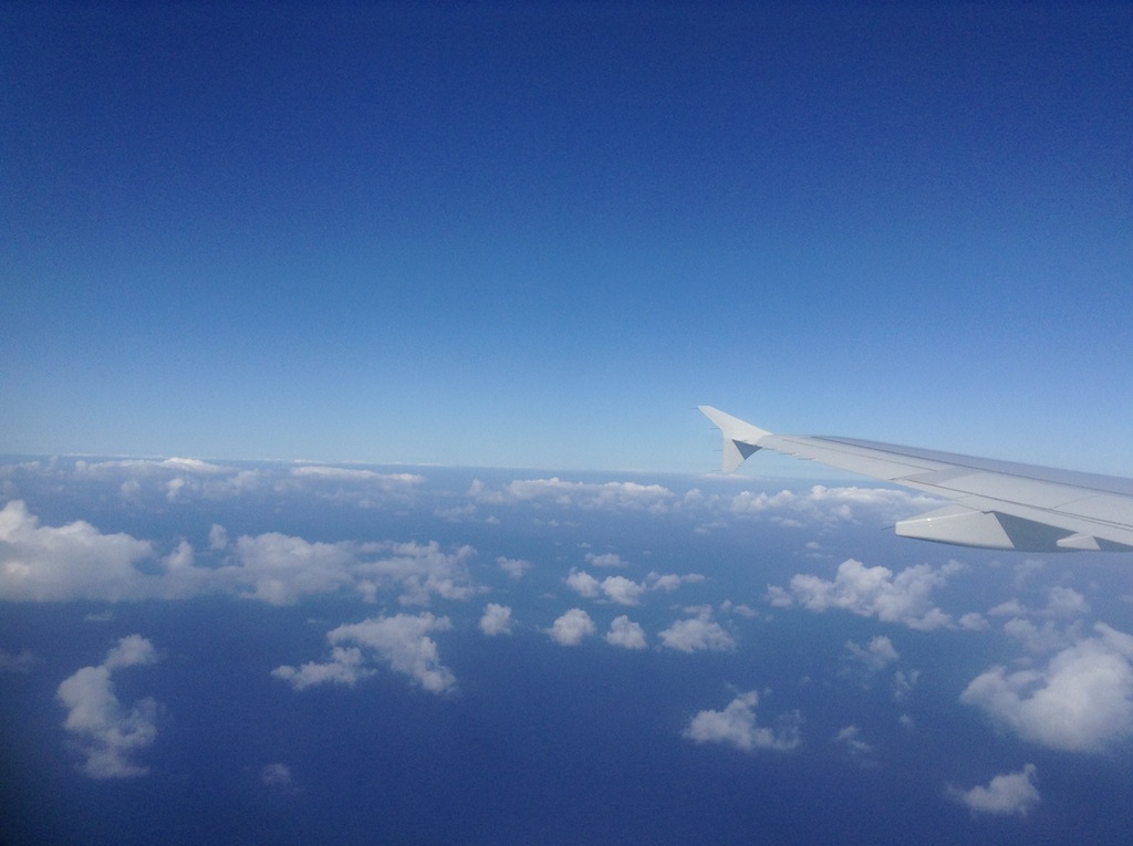 Avión en vuelo