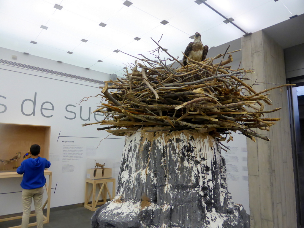 Museo de la Naturaleza y el Hombre