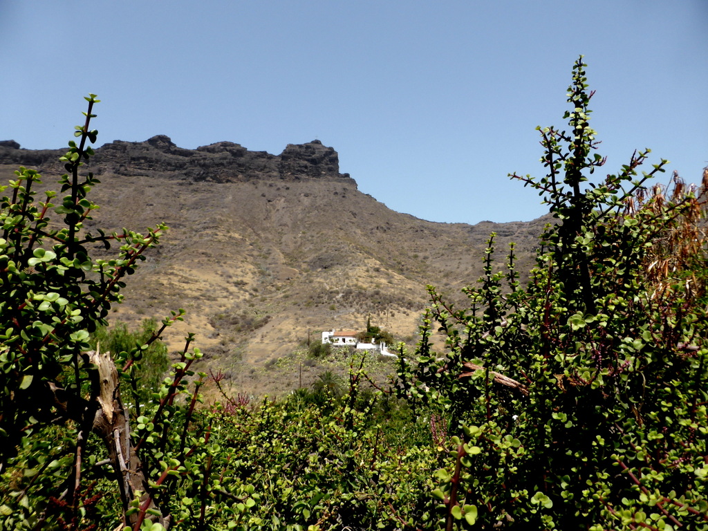 casita mogan
