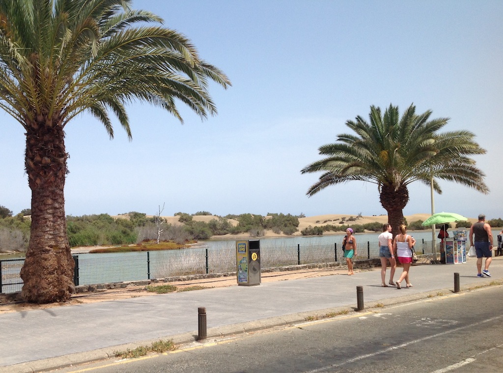 Maspalomas. Gran Canaria. Islas Canarias