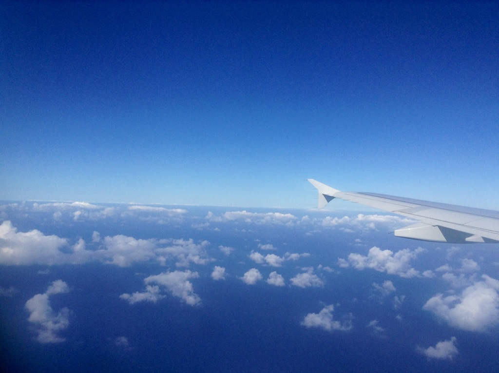 Avión en vuelo