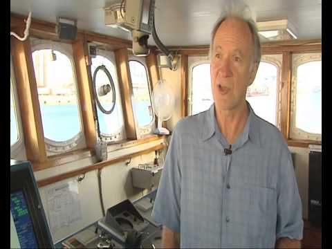 Joel Stewart, Greenpeace