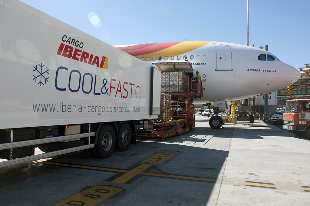 Fotografía de Iberia