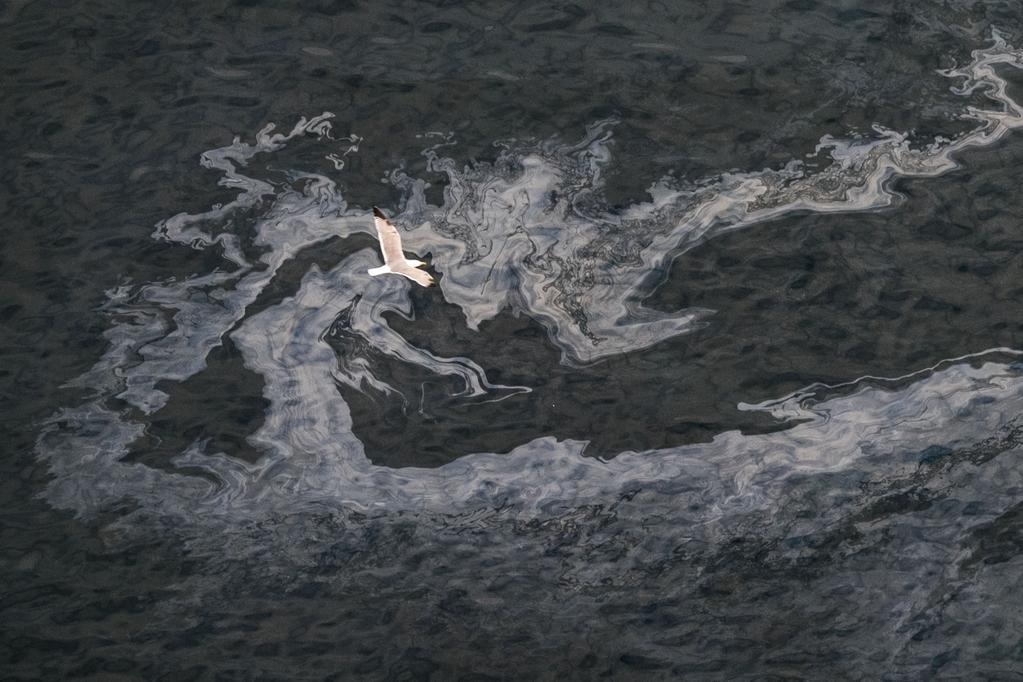 Fotografía de Greenpeace
